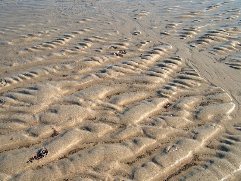 Chernobyl Exclusion Zone